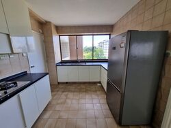 The Cairnhill (D9), Condominium #507764161